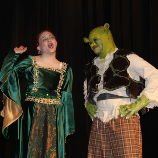  Princess Fiona and Shrek